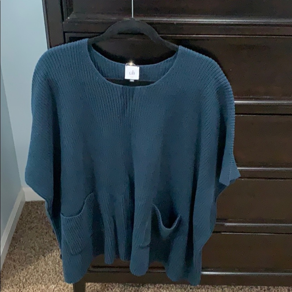 CAbi sweater